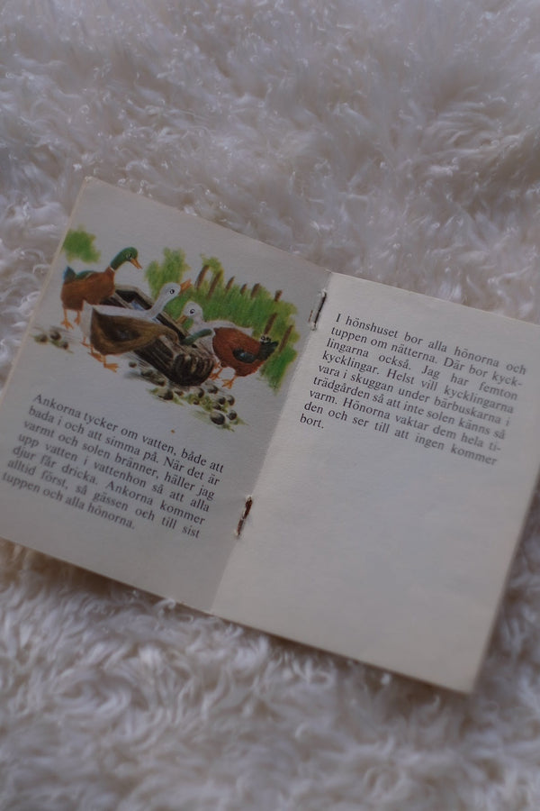 1975 pixie book