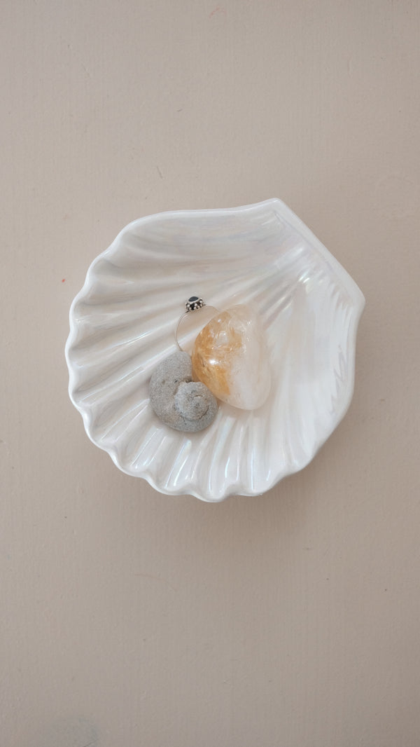 Small shell trinket dish